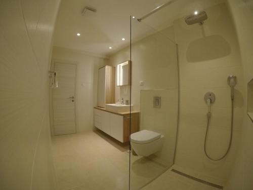 ein Bad mit einer Dusche, einem WC und einem Waschbecken in der Unterkunft Apartments by the sea Artatore, Losinj - 8020 in Čunski