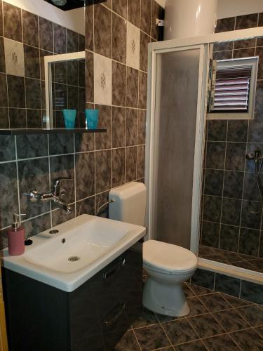 a bathroom with a toilet and a sink at Apartments by the sea Kneza, Korcula - 9185 in Račišće