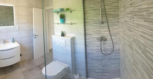 a bathroom with a shower with a toilet and a sink at Apartments by the sea Brna, Korcula - 9296 in Smokvica