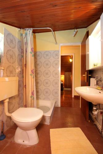 a bathroom with a toilet and a sink at Apartments by the sea Brna, Korcula - 9275 in Brna