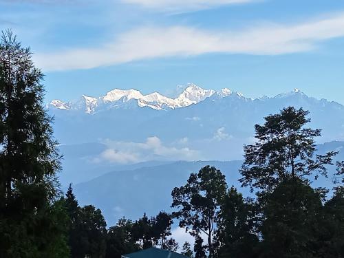 Blick auf einen Berg mit See und Bäumen in der Unterkunft Himalayan Cloud's Homestay in Takdāh
