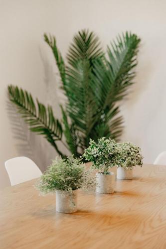 three potted plants sitting on a wooden table at Puamana Maluhia - Two Bedroom / Two Bath Condo in Princeville