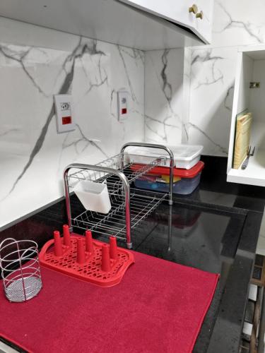 a sink with a dish drying rack and a red rug at Apartamento Pé na Areia - Praia Grande - SP, Aviação in Praia Grande