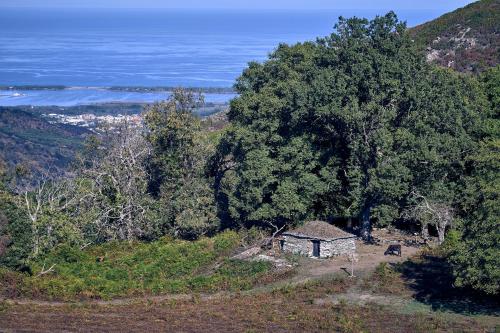 a small cabin on a hill with trees and the ocean at A Villa di Rutali in Rutali
