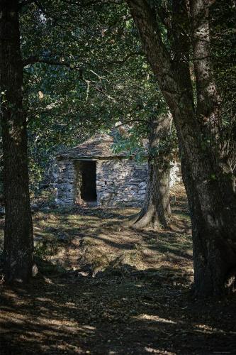 an old stone building in the middle of trees at A Villa di Rutali in Rutali