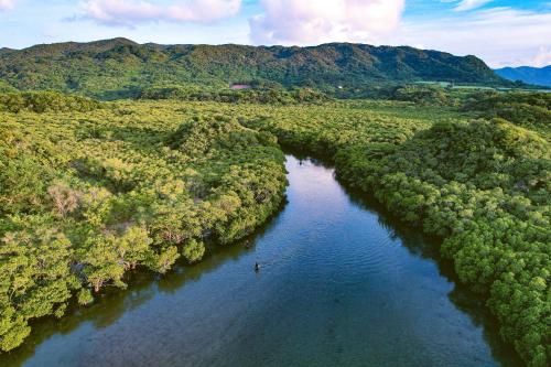 an aerial view of a river in a forest at Océanos - Sunset, BBQ, Beach & Kayak - オケアノス in Ishigaki Island