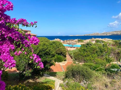 a view of a garden with purple flowers at CASA MUGHETTO - seafront, private sea access and swimming pool in La Maddalena