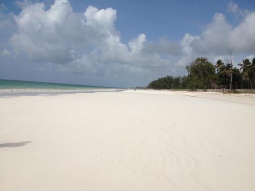 a view of a white beach with trees in the distance at Marula Park in Diani Beach
