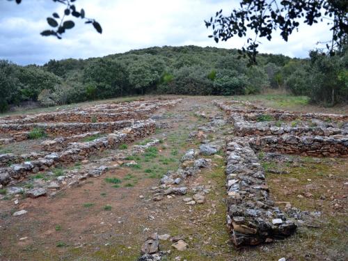 a field with a stone wall in a field at O Palleiro do Pe do Forno in Orellán