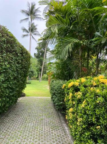 a garden with bushes and a walkway with palm trees at Sean Sabai Home e Ristobar in Taling Ngam Beach