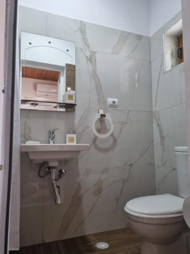bagno con lavandino e servizi igienici di B Vishe Guest House a Gjirokastër