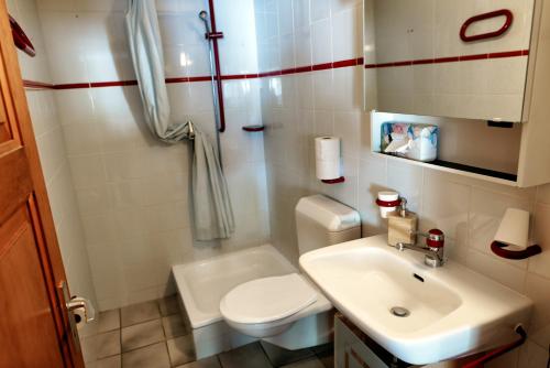 オヴロナにあるAppartement Le Grand Muveranの小さなバスルーム(トイレ、シンク付)