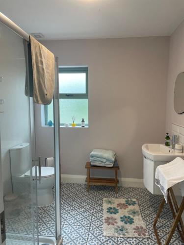 W łazience znajduje się prysznic i umywalka. w obiekcie The Potters Lodge w mieście Carrick-on-Shannon