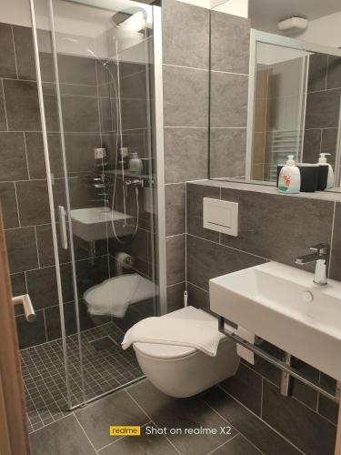 La salle de bains est pourvue de toilettes, d'une douche et d'un lavabo. dans l'établissement Herberge Balmweid 1, à Meiringen
