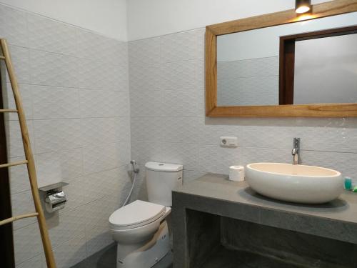 a bathroom with a sink and a toilet and a mirror at Coco Blu Villa in Singaraja