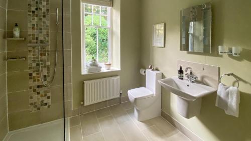 a bathroom with a toilet and a sink and a shower at Bryn Mair in Dolgellau