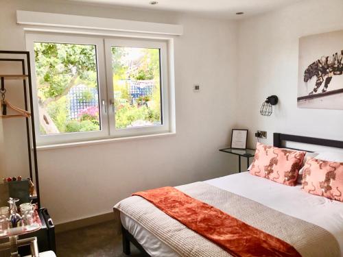 1 dormitorio con cama y ventana en Bed@BroadOak en Sturminster Newton
