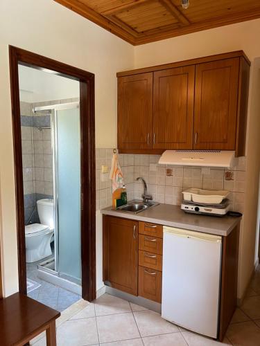 a kitchen with wooden cabinets and a sink and a toilet at Villa Agni in Yénion