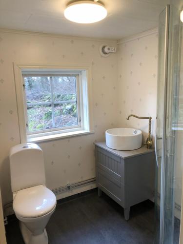 a bathroom with a sink and a toilet and a window at Skogsgläntan in Näsum