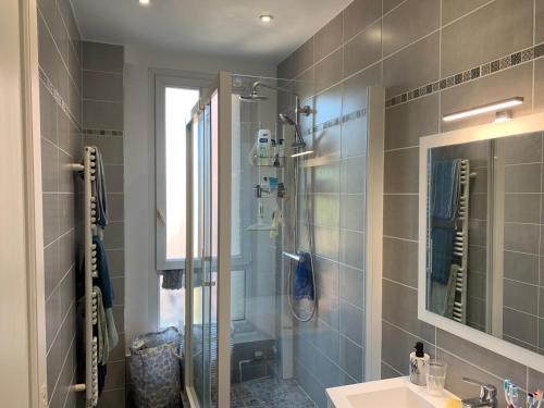 La salle de bains est pourvue d'une douche, d'un lavabo et d'un miroir. dans l'établissement Appartement tout confort à 10 min de La Défense, à Colombes