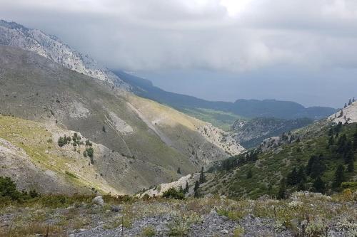 a view of a mountain with trees and a valley at Το σπίτι της Ελένης in Vlakhiá