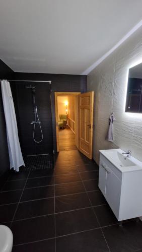 ein Bad mit einer Dusche, einem Waschbecken und einem WC in der Unterkunft Liebevoll sanierte Altbauwohnung in Waldsieversdorf