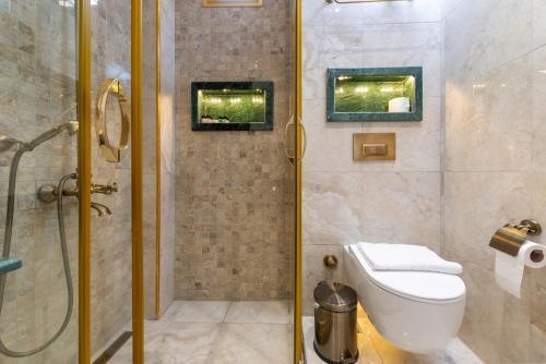 a bathroom with a shower and a toilet in it at Begonville Mansion Oldcity in Istanbul