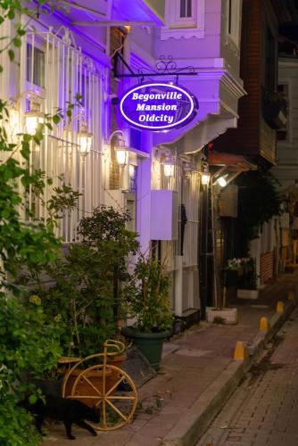 a cat walking down a city street at night at Begonville Mansion Oldcity in Istanbul