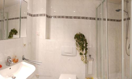 y baño con ducha, lavabo y aseo. en BUPA06107-FeWo-Passat-soess, en Burg auf Fehmarn