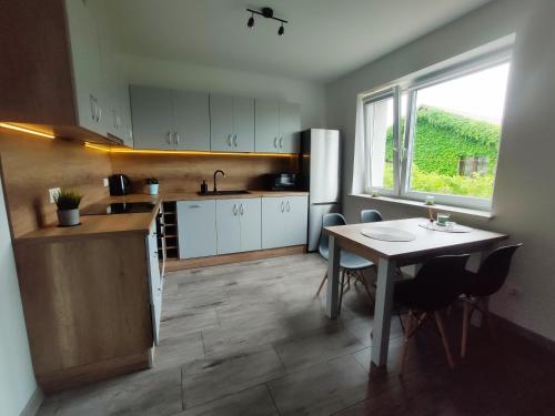 Η κουζίνα ή μικρή κουζίνα στο Apartamenty NOVA