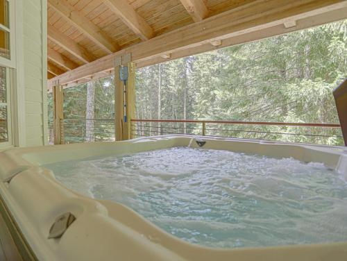 jacuzzi en una habitación con ventana en The Coho Lodge at Government Camp - Meredith Lodging, en Government Camp