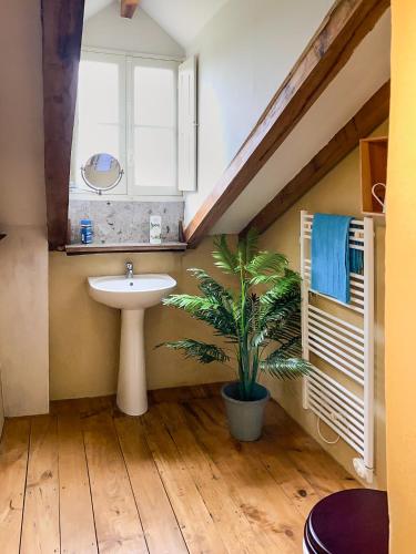 a bathroom with a sink and a potted plant at Maison Manechal in Monfaucon