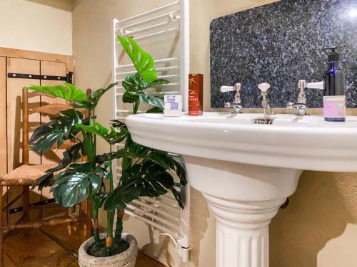 a bathroom with a sink and a potted plant at Maison Manechal in Monfaucon