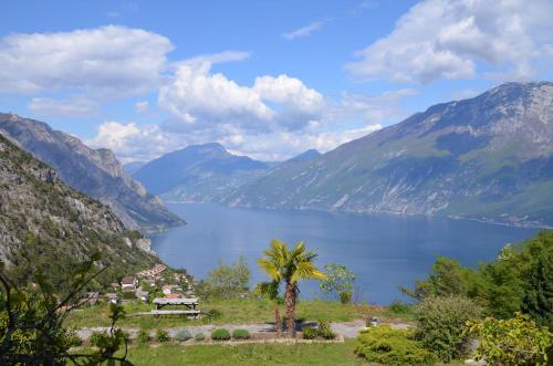 a view of a lake with a palm tree and mountains at Ferienwohnung-Casa-Uta-Gardasee-Limone-Tremosine in Tremosine Sul Garda