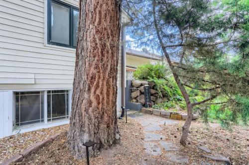 a large tree in front of a house at 1815 Bluebell Ave in Boulder