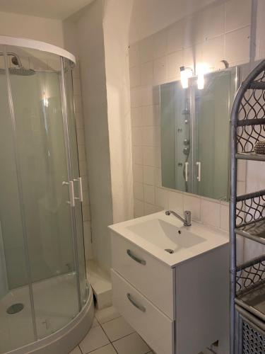 a bathroom with a sink and a shower at Rooftop vue cité médiévale ! in Carcassonne