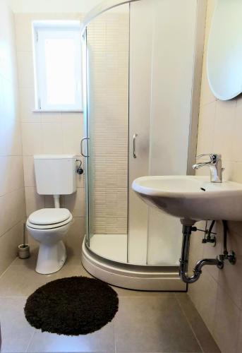 a bathroom with a shower and a toilet and a sink at Apartment Olivia in Šmrika