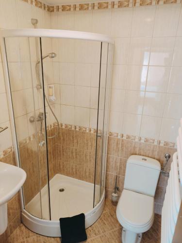 een badkamer met een douche, een toilet en een wastafel bij Agroturystyka w dolinie in Żegiestów