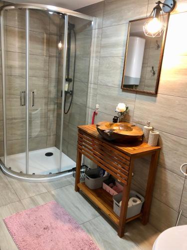 a bathroom with a sink and a shower at Domeniul Horj Casa din Stejar Moisei in Moisei