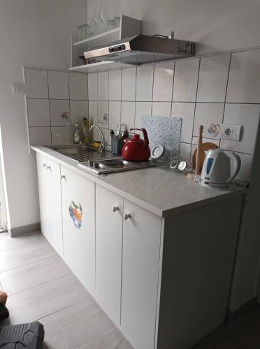 Cuisine ou kitchenette dans l'établissement apartman Vrdničak 2