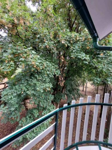 Balcon ou terrasse dans l'établissement apartman Vrdničak 2