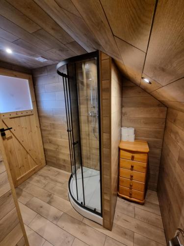 a bathroom with a shower and a wooden wall at Oaza nad Krutynią in Ukta