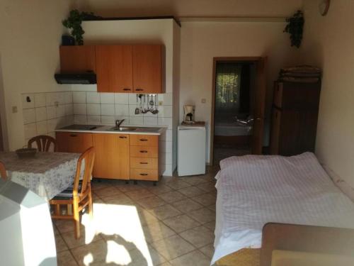 Kuchyň nebo kuchyňský kout v ubytování Apartmani Marijana, Matkino 13A