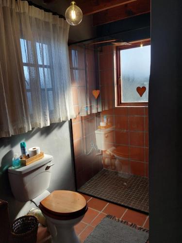 a bathroom with a shower with a toilet and a window at StarFish Accommodation in Struisbaai
