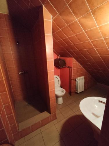 a bathroom with a toilet and a shower and a sink at Pokoje na Sobczakówce in Zakopane