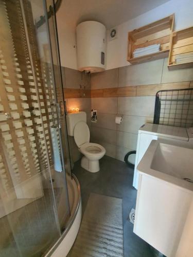 a bathroom with a toilet and a shower and a sink at Aparman Jež 3 De Lux in Karlovac