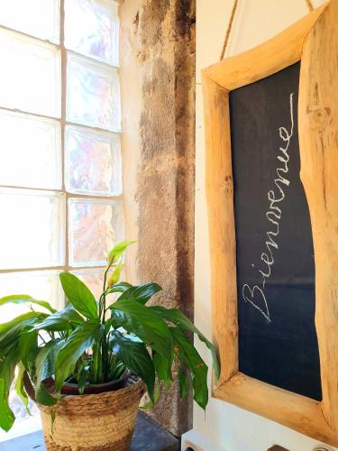 une plante dans un pot à côté d'un tableau noir dans l'établissement Gîte l'Echappée belle, à Castelnau-Pégayrols