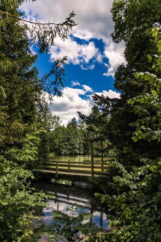 Fotografie z fotogalerie ubytování Hotel Dammenmühle v destinaci Lahr