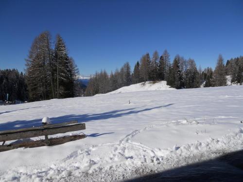 Gambar di galeri bagi Villa Tamion di Vigo di Fassa