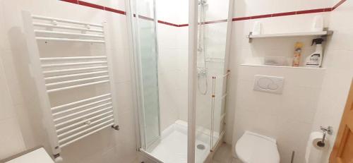 une salle de bain blanche avec douche et toilettes dans l'établissement LA CIGALE ARGELES - STUDIO PYRENEES ORIENTALES, à Plage dʼArgelès
